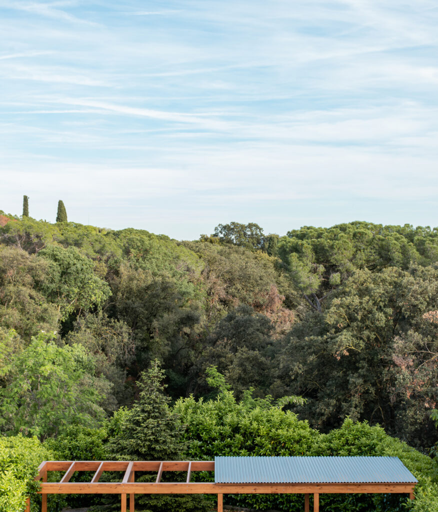 pergola general roof 1