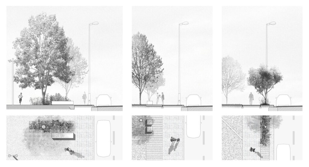 Street detail section